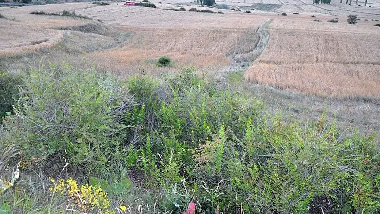 'İşçi taşıyan kamyon kaza yaptı: 18 yaralı'