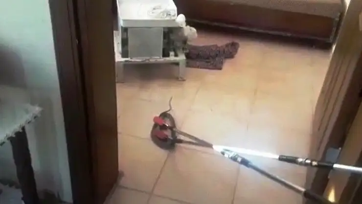 'Bağ evine giren yılanı itfaiye çıkardı'