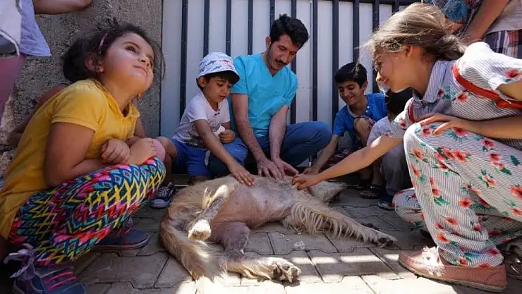 'Adıyaman Belediyesi öğrencilere hayvan sevgisini aşılıyor'