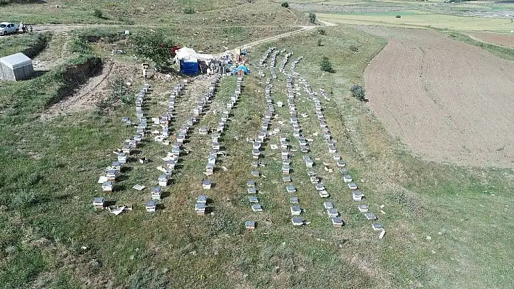 'Balda rekolte düşebilir'