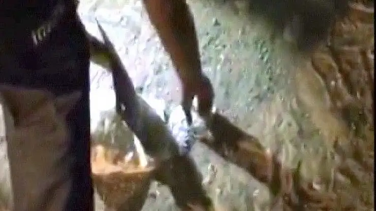'Torba içerisindeki keklik yangında son anda kurtarıldı'