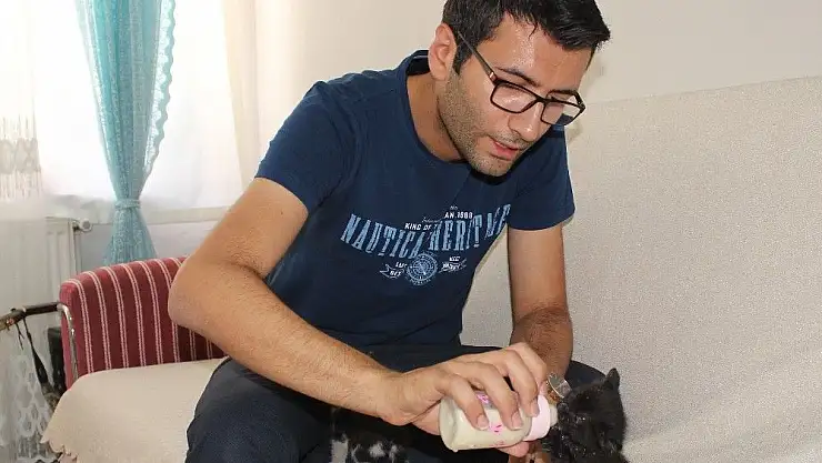 'Yavru kedileri biberonla büyütüyor'