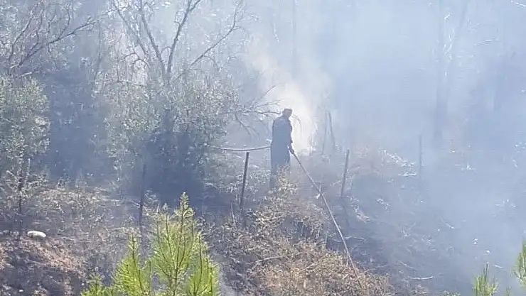 'Bahçe yangını korkuttu'