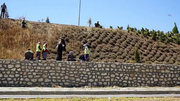 'Adıyaman girişinde bakım çalışmaları'