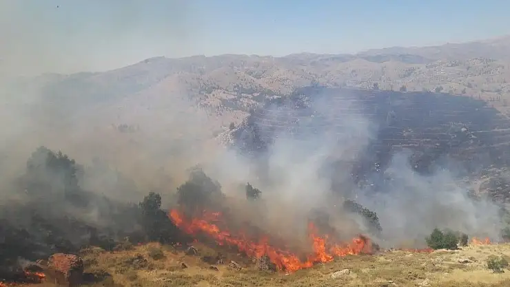 'Adıyaman´da orman yangını'