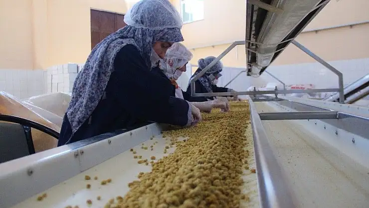 'Dede mesleğini büyüterek fabrika kurdu'