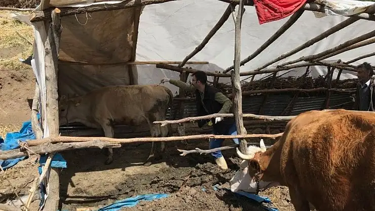 'TOÇBİRSEN Arguvan Temsilcisi Mehmet Saydan:'