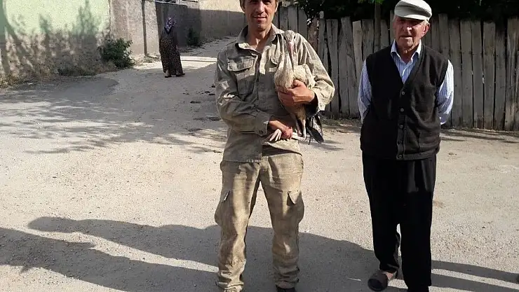 'Yavru leylek yuvasına bırakıldı'