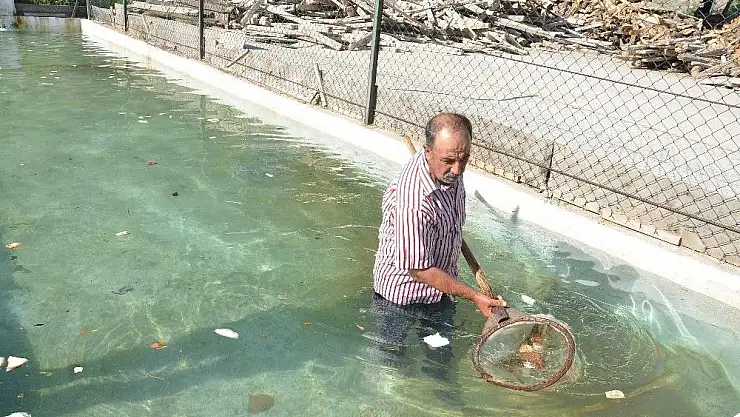 'Oksijensiz kalan balıklara yeni yuva'