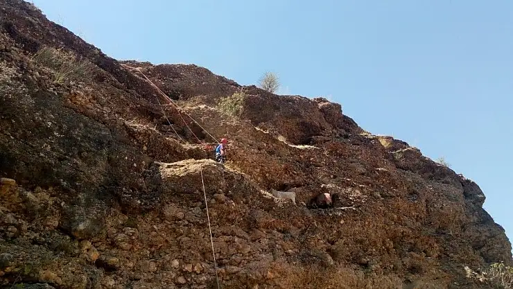 'AFAD Ekipleri mahsur kalan keçileri kurtardı'