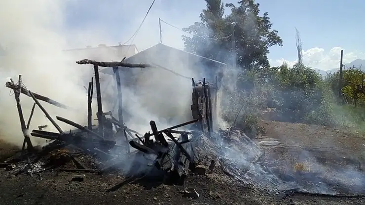 'Alevlerin arasında kalan hayvanlar için seferber oldular'