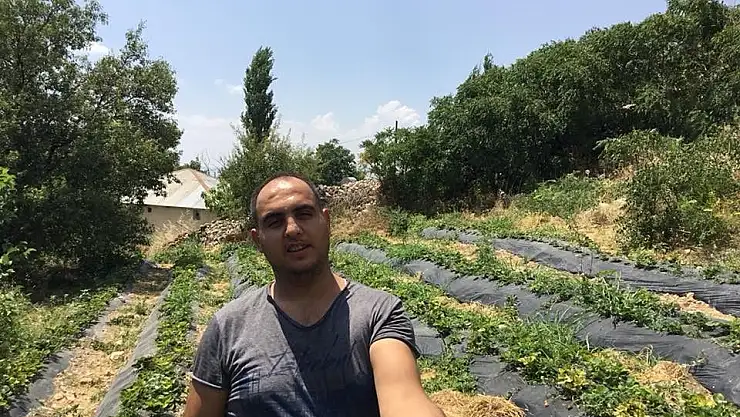 'Genç çiftçi Tut ilçesinde doğal çilek yetiştirmeye başladı'