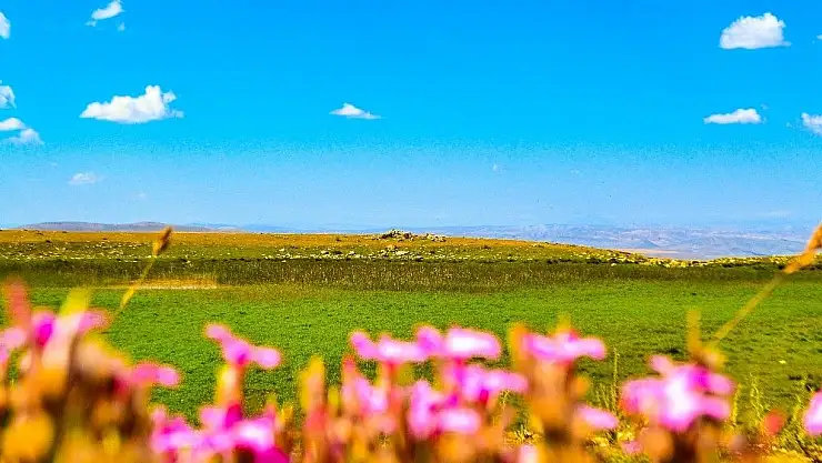 'Sarissa Antik Kenti turizme kazandırılmayı bekliyor'