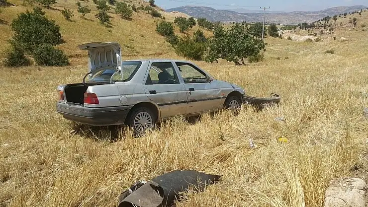 'Köpek kazaya neden oldu'