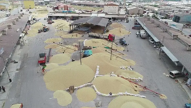 'Sivas´ta buğday alımları başladı'