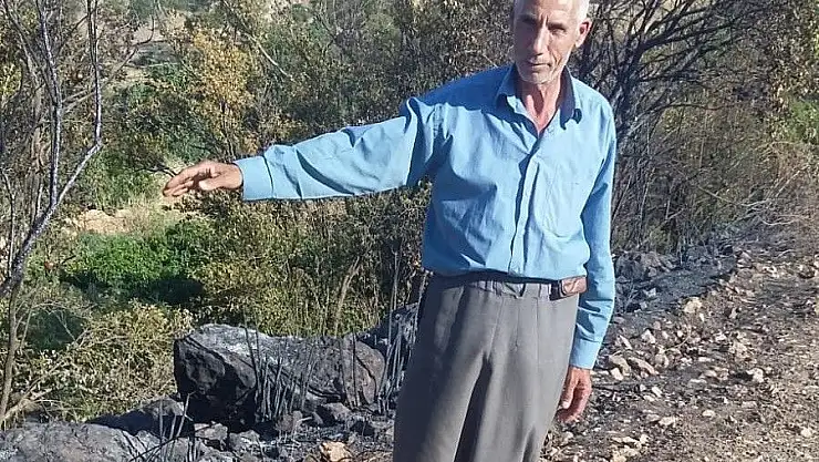'Nar bahçesi küle döndü'