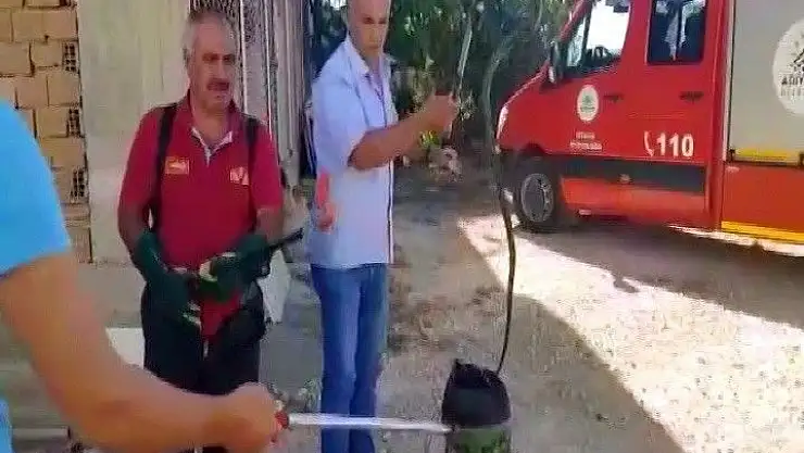 'İtfaiye ekiplerinin yılan avı'