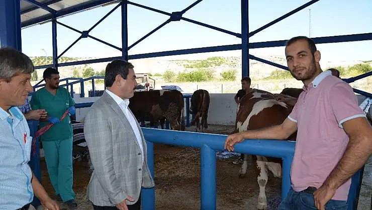 'Başkan Eser kurban pazarında incelemelerde bulundu'