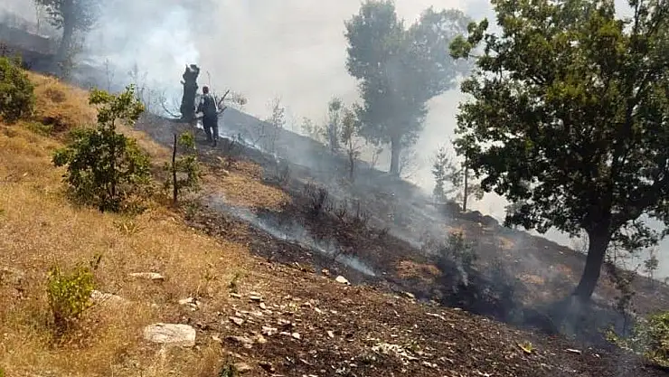 'Çelikhan´da yangın'