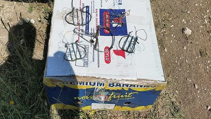 'Kaçak şahin avcılarına suçüstü'