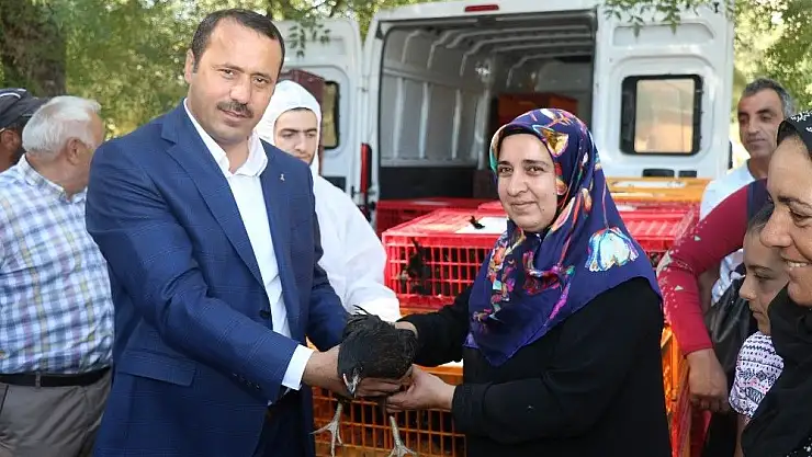 'Elazığ´da 95 aileye yumurta tavuğu hibe edildi'