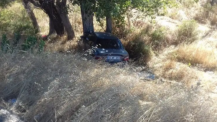 'Otomobil ağaca çarptı: 3 yaralı'