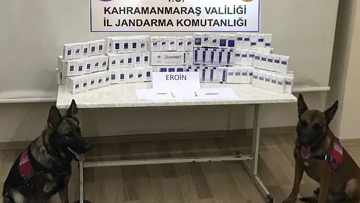 'Jandarmadan huzur operasyonu: 12 şahıs yakalandı'