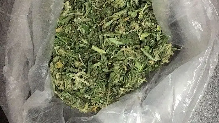 'Uyuşturucu kullanırken yakalanan 5 kişi gözaltına alındı'