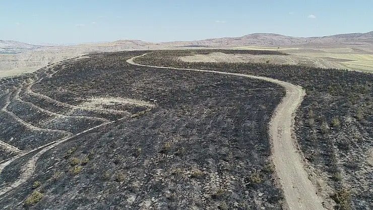 'Orman olamadan kül oldular'