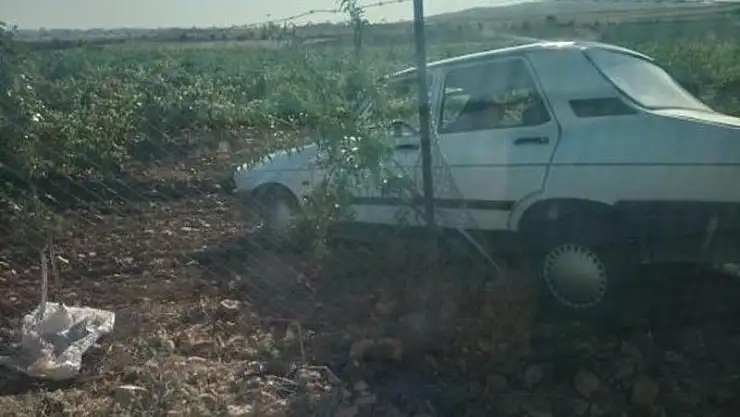 'Otomobil bağa girdi: 2 Yaralı'