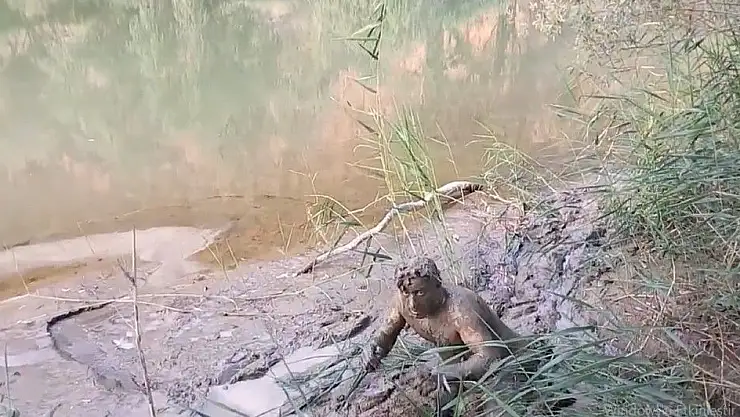 'Water City 2, vizyonda'