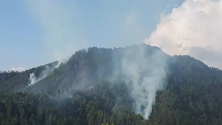 'Kahramanmaraş´ta orman yangını'
