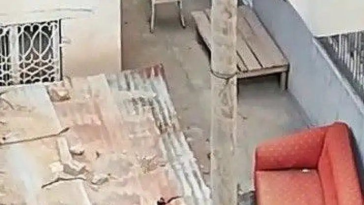 'Yavru köpeği kürekle dövdü'