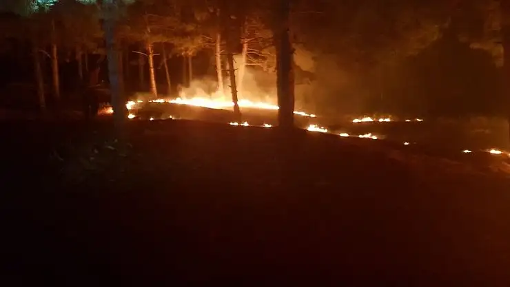 'Adıyaman´da ormanlık alanda yangın'