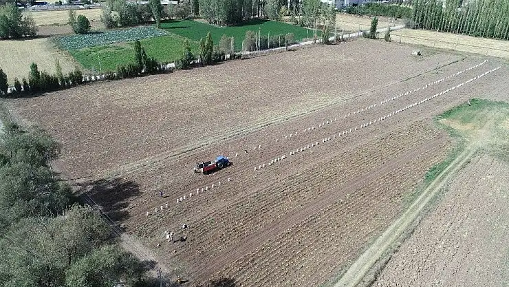 'Üreticilerden vatandaşlara: ''Patatesi tarlatan al, stokçunun zam oyununu boz'''