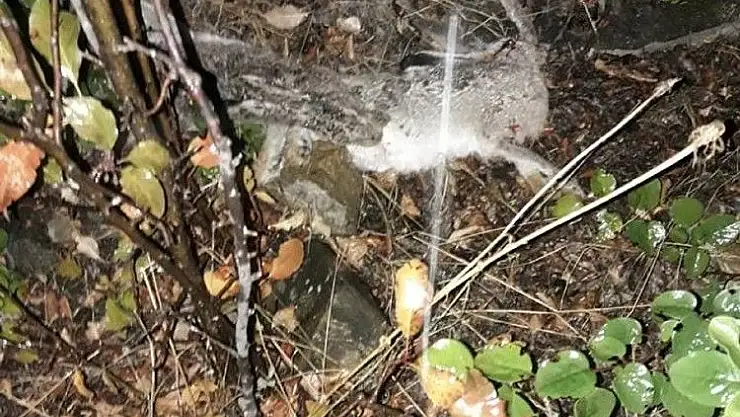 'Far ile tavşan avlayan kaçak avcı yakalandı'