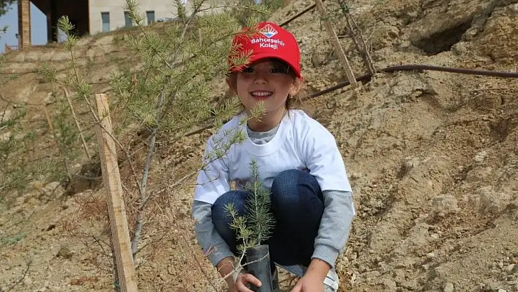 'Üniversite ve anaokulu öğrencileri mesire alanına fidan dikti'