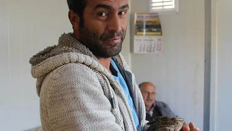 'Yaralı bıldırcına şefkat eli uzattılar'