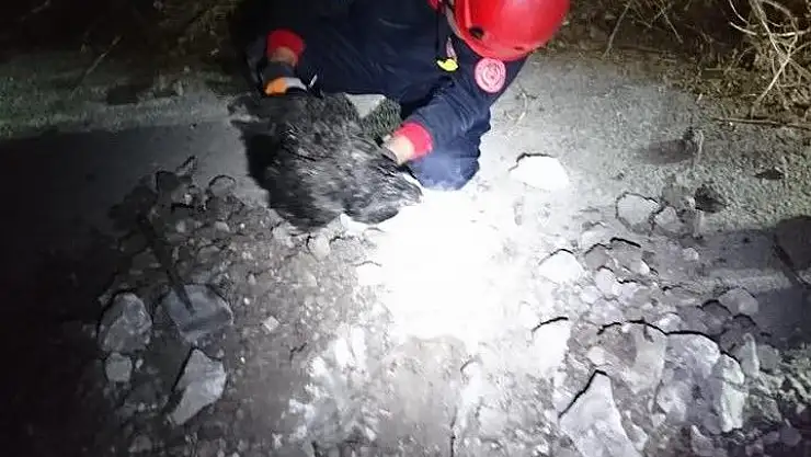 'İtfaiye ekipleri, asfaltı kırıp sıkışan tavuğa kurtardı'