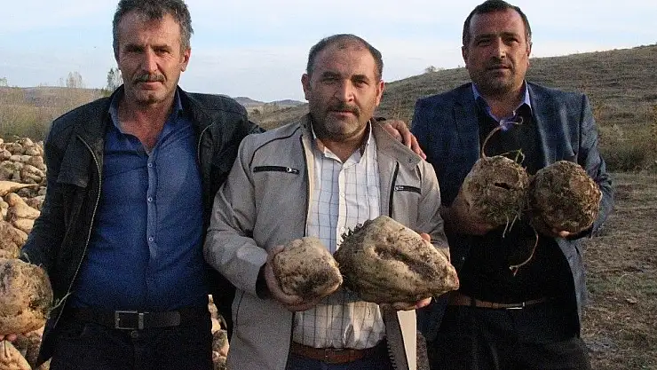 'Şeker pancarı üreticisi hasattan memnun'