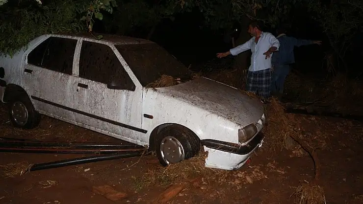 'Sel 120 hayvanı telef etti'