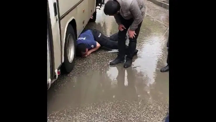 'Seyir halindeki otobüsün tekerine sıkışan kediyi kurtaran polis ödüllendirildi'