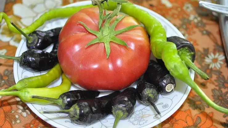 'Organik gübreyle verim ikiye katlandı'