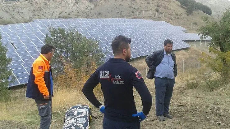 'Ağaçtan düşen şahıs hastanelik oldu'