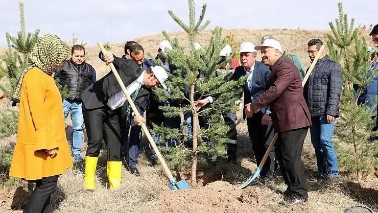 'Sivas´ta 16 yılda 84 milyon fidan dikildi'