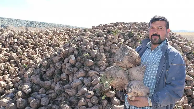 'Pancarın tadı kaçtı'