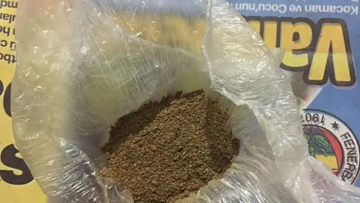 'Durdurulan otomobilden bonzai ele geçirildi'