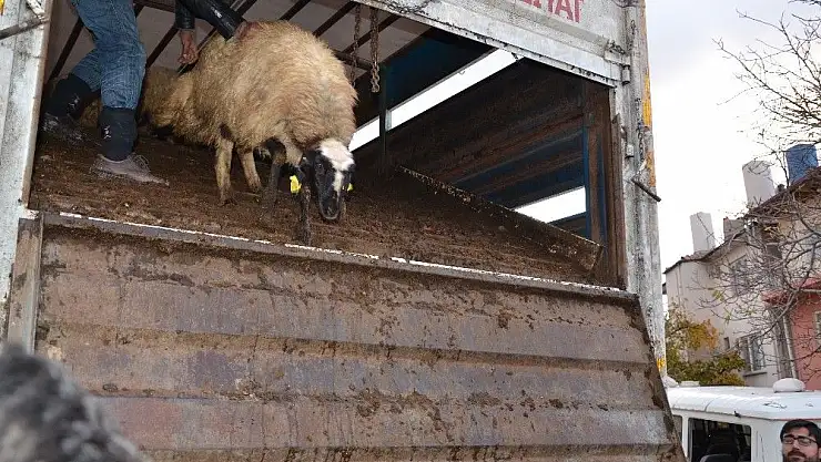 'Darende´de genç çiftçilere destekler sürüyor'
