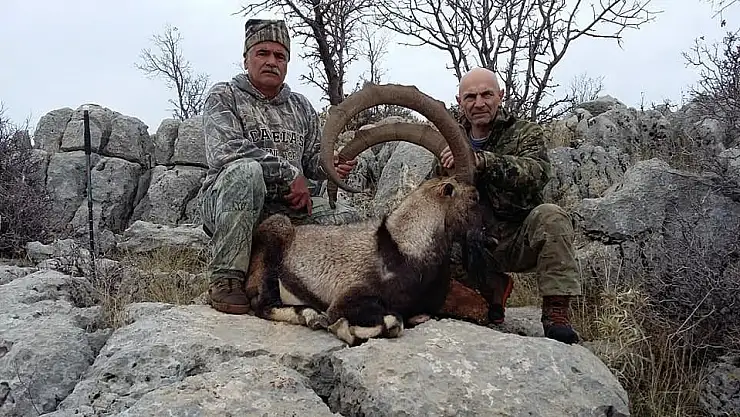 '109 Santim uzunluğunda boynuzu olan keçi avlandı'