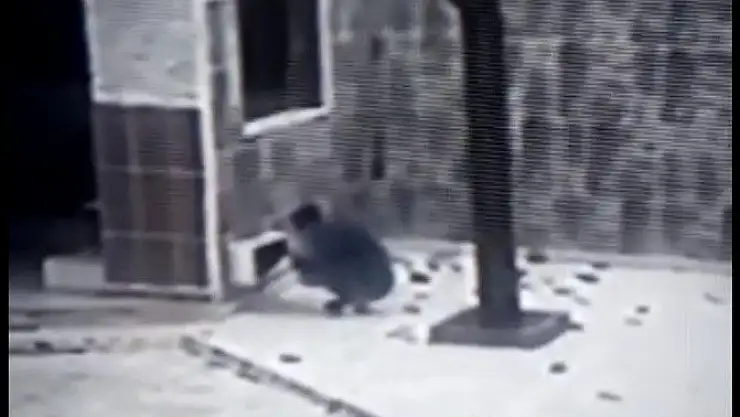 'Cami musluklarını çalan hırsız yakalandı'